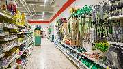 Thomas Philipps Rostock-Hinrichsdorf - GALLERY