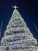 Thüringer Glitzerwelt - Am Stausee Hohenfelden - Magisch. Einzigartig. Und noch nie da gewesen. Die THÜRINGER GLITZERWELT ist das Event-Highlight dieses Winters. Auf einen Blick: