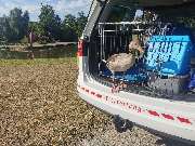 Tier- Taxi- Zentrale - 19