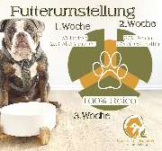 Tier Vital Systeme - GALLERY