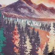 Tierärztin Julia Thiel - GALLERY