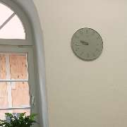 Tierärztin Julia Thiel - GALLERY