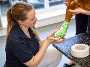 Tierärztliche Gem. Praxis Dres. Matburger - GALLERY