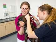 Tierärztliche Gem. Praxis Dres. Matburger - GALLERY