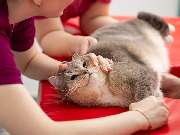 Tierärztliche Gem. Praxis Dres. Matburger - GALLERY