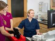 Tierärztliche Gem. Praxis Dres. Matburger - GALLERY