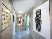 Tierärztliche Gem. Praxis Dres. Matburger - GALLERY