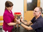 Tierärztliche Gem. Praxis Dres. Matburger - GALLERY