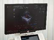 Tierärztliche Gem. Praxis Dres. Matburger - GALLERY