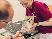 Tierärztliche Gem. Praxis Dres. Matburger - GALLERY