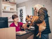 Tierärztliche Gem. Praxis Dres. Matburger - GALLERY