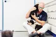 Tierärztliche Gemeinschaftspraxis Alzey Dres. Kleemann, Weber, Thissen & Kollegen - GALLERY
