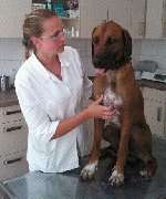 Tierärztliche Klinik Dr. S. Rummel - Ihr Tierarzt in Neubrandenburg - Tierärztin Anna Selack  
Geboren 1987 in Fürstenberg
Studium an der Veterinärmedizin
an der Justus Liebig Universität Giessen 
Seit 2013 im Klinikbereich tätig