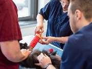 Tierarzt Aachen, Tierärztliches Zentrum für Chirurgie Dr. Kinzel Aachen - GALLERY