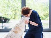 Tierarzt Aachen, Tierärztliches Zentrum für Chirurgie Dr. Kinzel Aachen - GALLERY