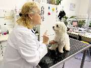 Tierarzt am U-Rohrdamm - GALLERY