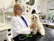 Tierarzt am U-Rohrdamm - GALLERY