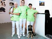 Tierarzt Asperg, Tierarztpraxis Alleencenter - GALLERY