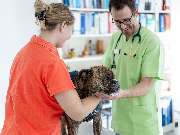 Tierarzt Asperg, Tierarztpraxis Alleencenter - GALLERY