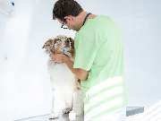 Tierarzt Asperg, Tierarztpraxis Alleencenter - GALLERY