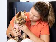 Tierarzt Asperg, Tierarztpraxis Alleencenter - GALLERY