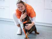 Tierarzt Asperg, Tierarztpraxis Alleencenter - GALLERY