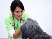 Tierarzt Asperg, Tierarztpraxis Alleencenter - GALLERY