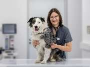 Tierarzt Bad Birnbach, Tiergesundheitszentrum Bad Birnbach - GALLERY