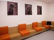 Tierarzt Bad Birnbach, Tiergesundheitszentrum Bad Birnbach - GALLERY