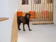 Tierarzt Bad Birnbach, Tiergesundheitszentrum Bad Birnbach - GALLERY