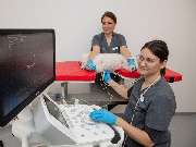 Tierarzt Bad Birnbach, Tiergesundheitszentrum Bad Birnbach - GALLERY