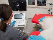 Tierarzt Bad Birnbach, Tiergesundheitszentrum Bad Birnbach - GALLERY