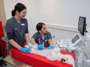 Tierarzt Bad Birnbach, Tiergesundheitszentrum Bad Birnbach - GALLERY