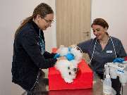 Tierarzt Bad Birnbach, Tiergesundheitszentrum Bad Birnbach - GALLERY