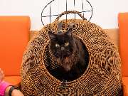 Tierarzt Bad Birnbach, Tiergesundheitszentrum Bad Birnbach - GALLERY