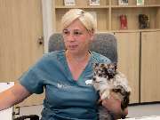 Tierarzt Bad Birnbach, Tiergesundheitszentrum Bad Birnbach - GALLERY