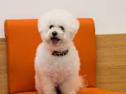 Tierarzt Bad Birnbach, Tiergesundheitszentrum Bad Birnbach - GALLERY