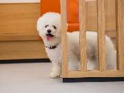 Tierarzt Bad Birnbach, Tiergesundheitszentrum Bad Birnbach - GALLERY