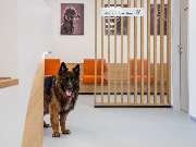 Tierarzt Bad Birnbach, Tiergesundheitszentrum Bad Birnbach - GALLERY