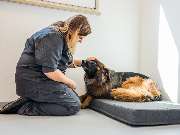 Tierarzt Bad Birnbach, Tiergesundheitszentrum Bad Birnbach - GALLERY