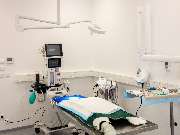 Tierarzt Bad Birnbach, Tiergesundheitszentrum Bad Birnbach - GALLERY