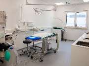 Tierarzt Bad Birnbach, Tiergesundheitszentrum Bad Birnbach - GALLERY