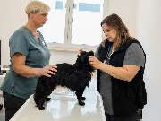 Tierarzt Bad Birnbach, Tiergesundheitszentrum Bad Birnbach - GALLERY