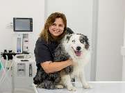 Tierarzt Bad Birnbach, Tiergesundheitszentrum Bad Birnbach - GALLERY