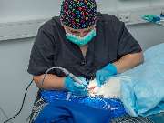 Tierarzt Bad Birnbach, Tiergesundheitszentrum Bad Birnbach - GALLERY