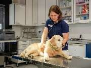 Tierarzt Bad Schönborn, Tierarztpraxis am Alten Bach - GALLERY