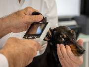 Tierarzt Bad Schönborn, Tierarztpraxis am Alten Bach - GALLERY