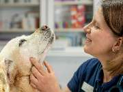 Tierarzt Bad Schönborn, Tierarztpraxis am Alten Bach - GALLERY