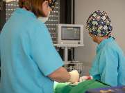 Tierarzt Bad Schönborn, Tierarztpraxis am Alten Bach - GALLERY