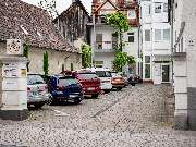 Tierarzt Bay Heidelberg, Kleintierpraxis Heidelberg-Rohrbach - GALLERY